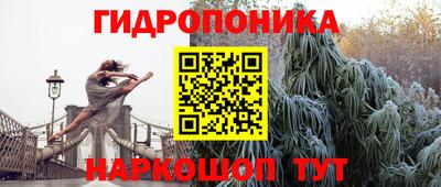 МДПВ Обь